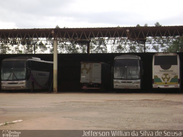 Transbrasiliana Transportes e Turismo 59881 na cidade de Araguaína, Tocantins, Brasil, por Jefferson Willian da Silva de Sousa. Número da foto: #1698810.
