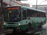 Salvadora Transportes > Transluciana 40429 na cidade de Belo Horizonte, Minas Gerais, Brasil, por Alex Bola. Número da foto: #:id.