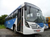 Transportes Além Paraíba 228 na cidade de Além Paraíba, Minas Gerais, Brasil, por Rodrigo Fernades. Número da foto: #1644123.