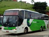 Pássaro Verde 22004 na cidade de Viçosa, Minas Gerais, Brasil, por Caio César de Freitas Lopes. Número da foto: #:id.