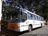 Viação Piracema de Transportes 50513 na cidade de Jaboticabal, São Paulo, Brasil, por Bruno Oliveira. Número da foto: #:id.