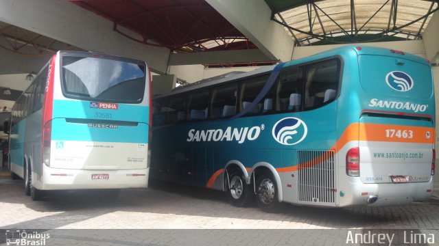 Empresa de Ônibus Nossa Senhora da Penha 33581 na cidade de Joinville, Santa Catarina, Brasil, por Andrey  Lima. Número da foto: #1651127.