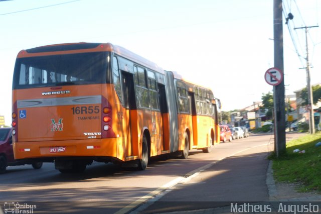 Viação Tamandaré 16R55 na cidade de Curitiba, Paraná, Brasil, por Matheus  Augusto. Número da foto: #1655420.