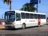 Borborema Imperial Transportes 251 na cidade de Recife, Pernambuco, Brasil, por Gercilene Maria  Rego Alexandre da Silva. Número da foto: #:id.