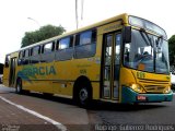 Viação Garcia 6176 na cidade de Maringá, Paraná, Brasil, por Rodrigo  Gutierrez Rodrigues. Número da foto: #1656886.
