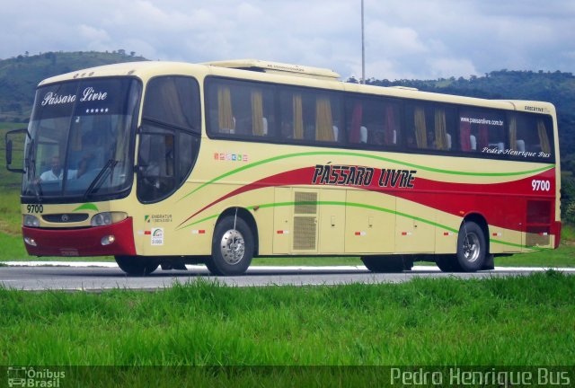 Viação Pássaro Livre 9700 na cidade de Ribeirão Vermelho, Minas Gerais, Brasil, por Pedro Henrique Gumercindo da Silva. ID da foto: 1724056.