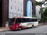 Hibisco Turismo 350 na cidade de Belo Horizonte, Minas Gerais, Brasil, por Adão Raimundo Marcelino. Número da foto: #1726086.