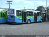 Viação Grande Vitória 13163 na cidade de Serra, Espírito Santo, Brasil, por Matheus Mendes. Número da foto: #1724788.