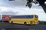Viação Itapemirim 8211 na cidade de Campos dos Goytacazes, Rio de Janeiro, Brasil, por Lucas de Souza Pereira. Número da foto: #1725840.
