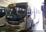 Expresso Nordeste 3810 na cidade de Cascavel, Paraná, Brasil, por Adalberto Mattera. Número da foto: #1727738.