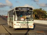 Viação Mirim 401 na cidade de Recife, Pernambuco, Brasil, por Matheus Fernando. ID da foto: :id.