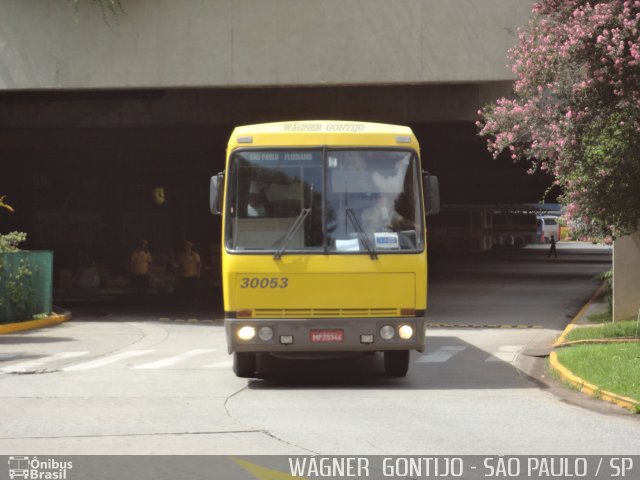 Viação Itapemirim 30053 na cidade de São Paulo, São Paulo, Brasil, por Wágner  Gontijo. Número da foto: #1733505.