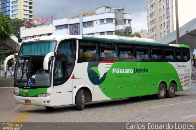 Pássaro Verde 28031 na cidade de Belo Horizonte, Minas Gerais, Brasil, por Carlos Eduardo Lopes. Número da foto: #1742724.