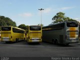 Viação Itapemirim 8223 na cidade de São Paulo, São Paulo, Brasil, por Rogério Teixeira Varadi. Número da foto: #1744736.