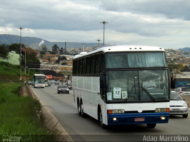 Laitur 0660 na cidade de Belo Horizonte, Minas Gerais, Brasil, por Adão Raimundo Marcelino. ID da foto: 1749095.