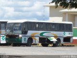 Transprogresso 2013 na cidade de São Francisco, Minas Gerais, Brasil, por Leandro Maia. Número da foto: #1747534.
