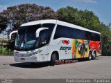 Eucatur - Empresa União Cascavel de Transportes e Turismo 4731 na cidade de Curitiba, Paraná, Brasil, por Paulo Gustavo. Número da foto: #:id.