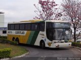 Empresa Gontijo de Transportes 11275 na cidade de Nova Serrana, Minas Gerais, Brasil, por Rodrigo  Henrique. Número da foto: #1752611.