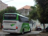 Pássaro Verde 29010 na cidade de Raul Soares, Minas Gerais, Brasil, por Lucas Azevedo. Número da foto: #:id.