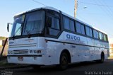 AVOA - Auto Viação Ourinhos Assis 13061 na cidade de Paraguaçu Paulista, São Paulo, Brasil, por Francisco Ivano. Número da foto: #1757300.