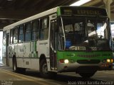 Sigma Transportes Coletivos 10038 na cidade de Piracicaba, São Paulo, Brasil, por Joao Vitor Varella Avance. Número da foto: #1758127.