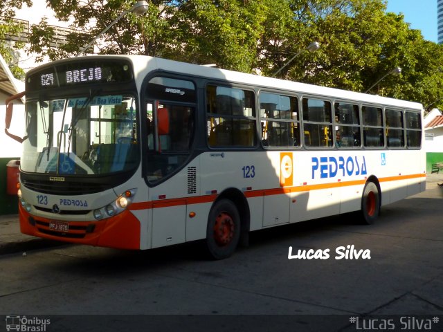 Empresa Pedrosa 123 na cidade de Recife, Pernambuco, Brasil, por Lucas Silva. ID da foto: 1763591.