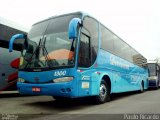 Divinéia Turismo 1300 na cidade de São Paulo, São Paulo, Brasil, por Paulo Ricardo. Número da foto: #1709444.