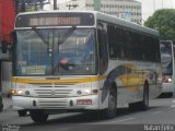 SBC Trans 1019 na cidade de São Bernardo do Campo, São Paulo, Brasil, por Natan Felix dos Santos Diniz. Número da foto: #:id.