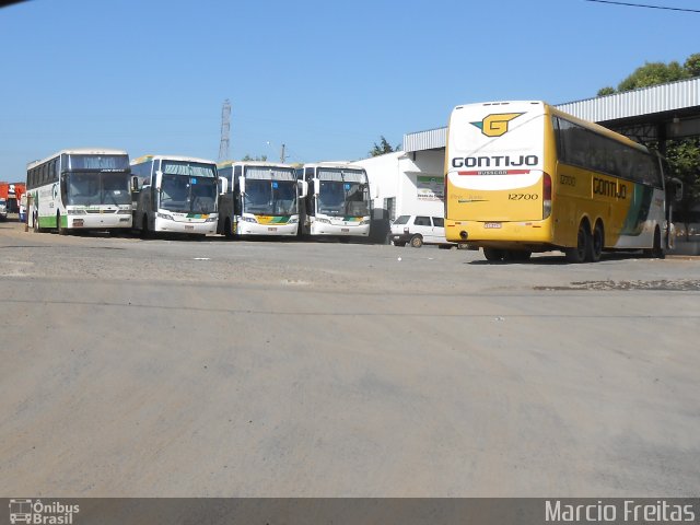 Empresa Gontijo de Transportes 12700 na cidade de Ribeirão Preto, São Paulo, Brasil, por Marcio Freitas. Número da foto: #1766881.