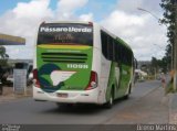 Pássaro Verde 11098 na cidade de Diamantina, Minas Gerais, Brasil, por Breno Martins. Número da foto: #1787410.