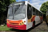 Petro Ita Transportes Coletivos de Passageiros 2077 na cidade de Assis, São Paulo, Brasil, por Francisco Ivano. Número da foto: #1792087.