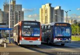 TRANSPPASS - Transporte de Passageiros 8 1078 na cidade de Taboão da Serra, São Paulo, Brasil, por Rubenoel Oliveira. Número da foto: #:id.