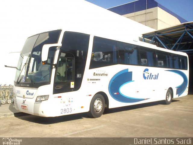 Citral Transporte e Turismo 2803 na cidade de Porto Alegre, Rio Grande do Sul, Brasil, por Daniel Santos Sardi. Número da foto: #1792730.