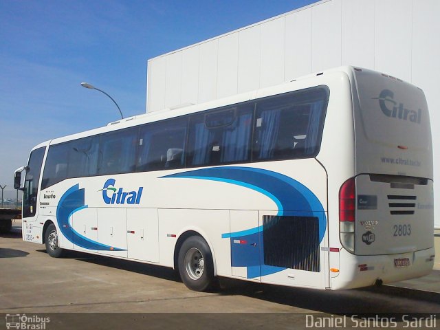 Citral Transporte e Turismo 2803 na cidade de Porto Alegre, Rio Grande do Sul, Brasil, por Daniel Santos Sardi. Número da foto: #1792727.