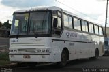 AVOA - Auto Viação Ourinhos Assis 13061 na cidade de Paraguaçu Paulista, São Paulo, Brasil, por Francisco Ivano. Número da foto: #1794200.