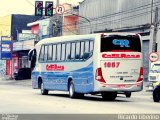 Cati Rose Transporte de Passageiros 1067 na cidade de São Bernardo do Campo, São Paulo, Brasil, por Ricardo Liberino. Número da foto: #:id.