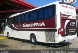 Expresso Gardenia 2845 na cidade de Ribeirão Vermelho, Minas Gerais, Brasil, por Pedro Henrique Gumercindo da Silva. Número da foto: #1795573.