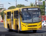 AVOA - Auto Viação Ourinhos Assis 8000 na cidade de Assis, São Paulo, Brasil, por Cristiano Soares da Silva. Número da foto: #1799087.