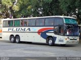 Pluma Conforto e Turismo 3985 na cidade de São Paulo, São Paulo, Brasil, por Nivaldo  Fernandes. ID da foto: :id.