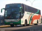 Empresa de Transportes Andorinha 5265 na cidade de Presidente Prudente, São Paulo, Brasil, por Beatriz Fernandes. Número da foto: #1809560.