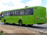 Empresa Dois Irmãos 04180 na cidade de Teresina, Piauí, Brasil, por Joelson  Barros. Número da foto: #1809257.