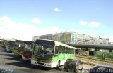 Terminais Rodoviários e Urbanos  na cidade de Brasília, Distrito Federal, Brasil, por Jefferson Willian da Silva de Sousa. Número da foto: #1809667.