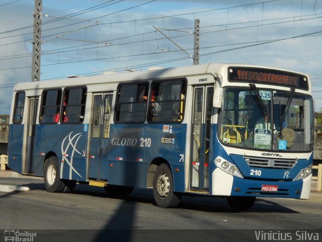 Transportadora Globo 210 na cidade de Recife, Pernambuco, Brasil, por Vinicius Silva. ID da foto: 1814364.