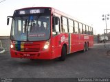 Borborema Imperial Transportes 320 na cidade de Recife, Pernambuco, Brasil, por Matheus Fernando. Número da foto: #1813866.