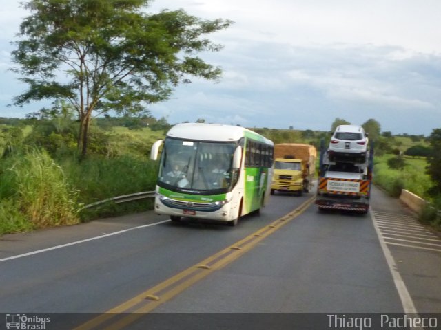 Pássaro Verde 1039 na cidade de Curvelo, Minas Gerais, Brasil, por Thiago  Pacheco. ID da foto: 1815805.