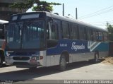 Auto Ônibus Fagundes RJ 101.491 na cidade de Niterói, Rio de Janeiro, Brasil, por Marcelo Candido de Oliveira. Número da foto: #1815846.