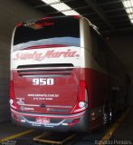 Santa Maria Fretamento e Turismo > Transportes Santa Maria(SP) 950 na cidade de São Bernardo do Campo, São Paulo, Brasil, por Agnaldo Penides. Número da foto: #1815186.