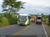 Pássaro Verde 1039 na cidade de Curvelo, Minas Gerais, Brasil, por Thiago  Pacheco. Número da foto: #1815805.