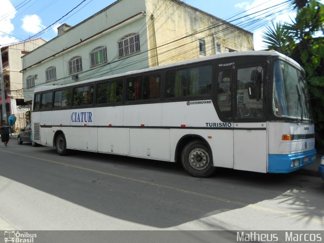 Ciatur N/I na cidade de São Gonçalo, Rio de Janeiro, Brasil, por Matheus  Marcos. Número da foto: #1825233.