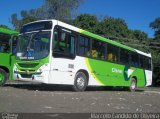 Transportes Cisne 1314 na cidade de Duque de Caxias, Rio de Janeiro, Brasil, por Marcelo Candido de Oliveira. Número da foto: #1825596.